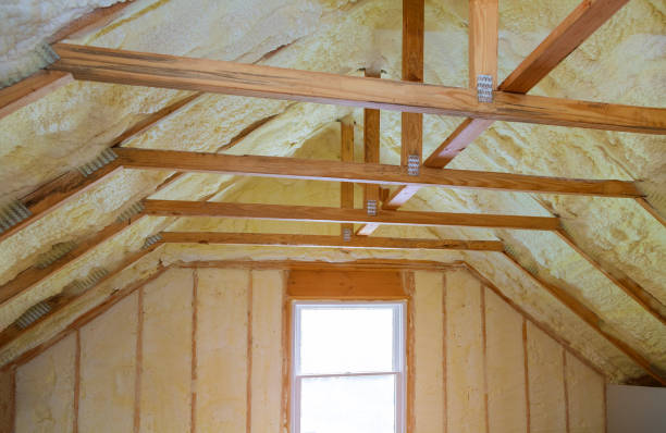 Best Insulation Maintenance and Repair in Monroe, OH