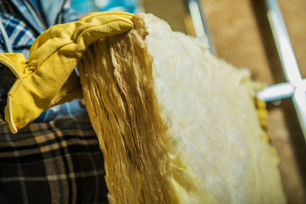 Best Eco-Friendly Insulation in Monroe, OH